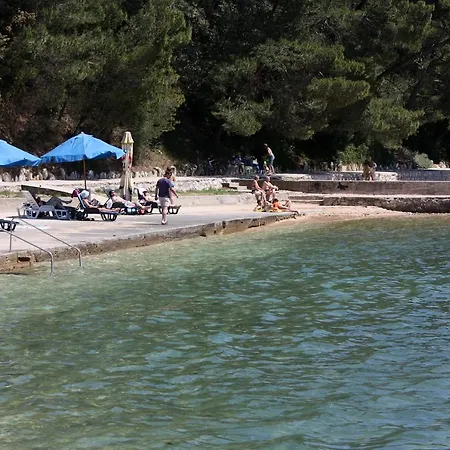 Pensionat And With Parking Space Palit, Rab - 3195 Palit